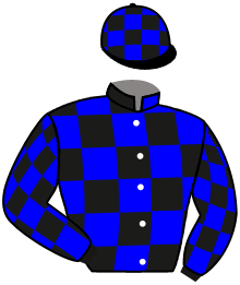 Casaque n°2