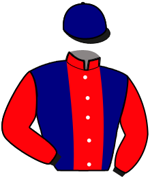 Casaque n°14