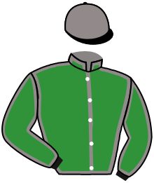 Casaque n°10