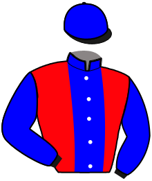 Casaque n°9