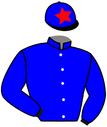Casaque n°4
