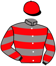 Casaque n°8