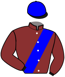 Casaque n°4
