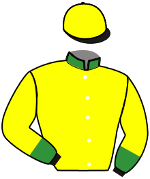 Casaque n°11