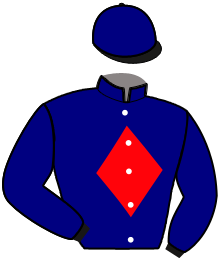 Casaque n°12