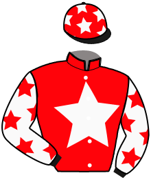 Casaque n°2