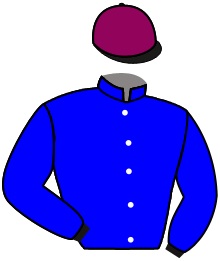 Casaque n°3