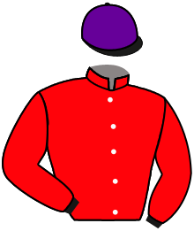 Casaque n°4