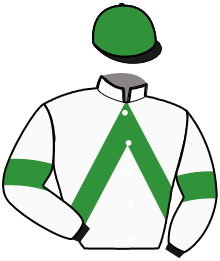 Casaque n°3