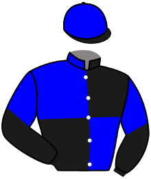Casaque n°11