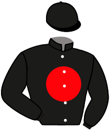 Casaque n°2