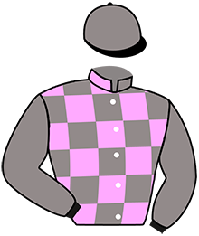 Casaque n°2