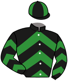 Casaque n°16