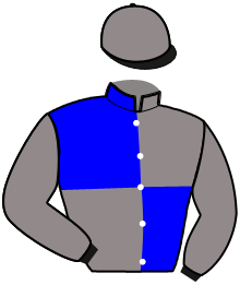 Casaque n°3