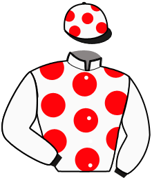 Casaque n°2