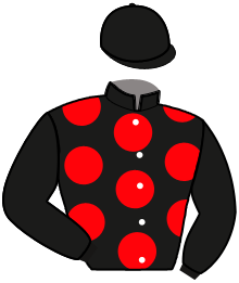 Casaque n°11