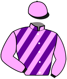 Casaque n°13