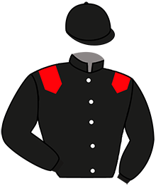 Casaque n°16