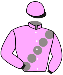 Casaque n°14
