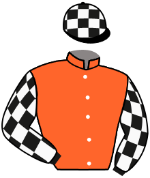 Casaque n°3