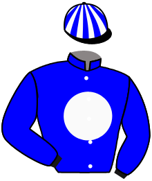 Casaque n°13