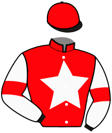 Casaque n°10