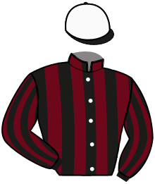 Casaque n°3