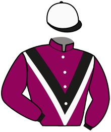 Casaque n°8