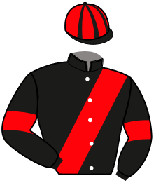 Casaque n°6