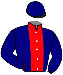 Casaque n°12