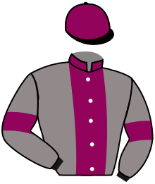 Casaque n°14
