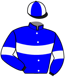 Casaque n°10