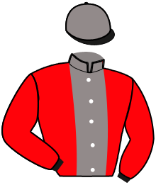 Casaque n°15