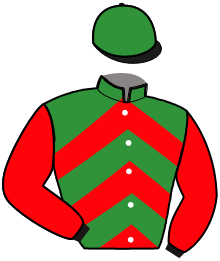 Casaque n°4