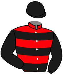 Casaque n°2