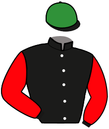 Casaque n°13
