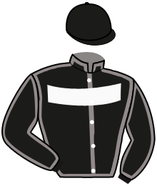 Casaque n°10