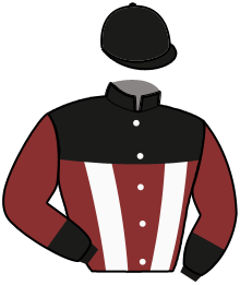 Casaque n°17