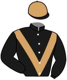Casaque n°1