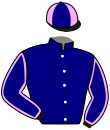 Casaque n°8
