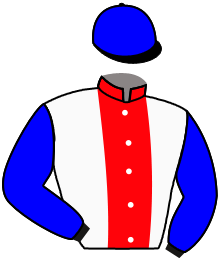 Casaque n°1