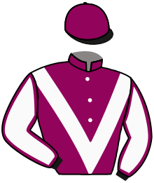 Casaque n°16