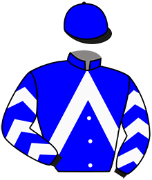 Casaque n°8