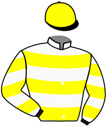 Casaque n°3