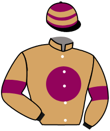 Casaque n°8