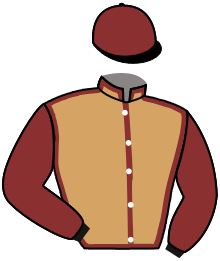 Casaque n°2