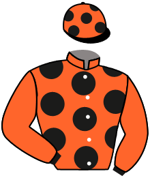 Casaque n°4