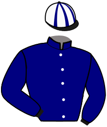Casaque n°14