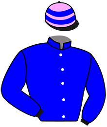 Casaque n°2