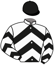 Casaque n°3